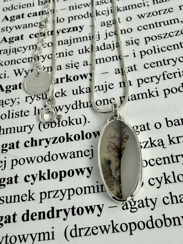 zdjęcie przedstawia srebrny naszyjnik na kartach ksiązki-bluemoss.pl